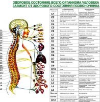 ostov1