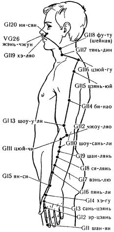 Меридиан толстого кишечника "GI" Меридиан толстого кишечника "GI"